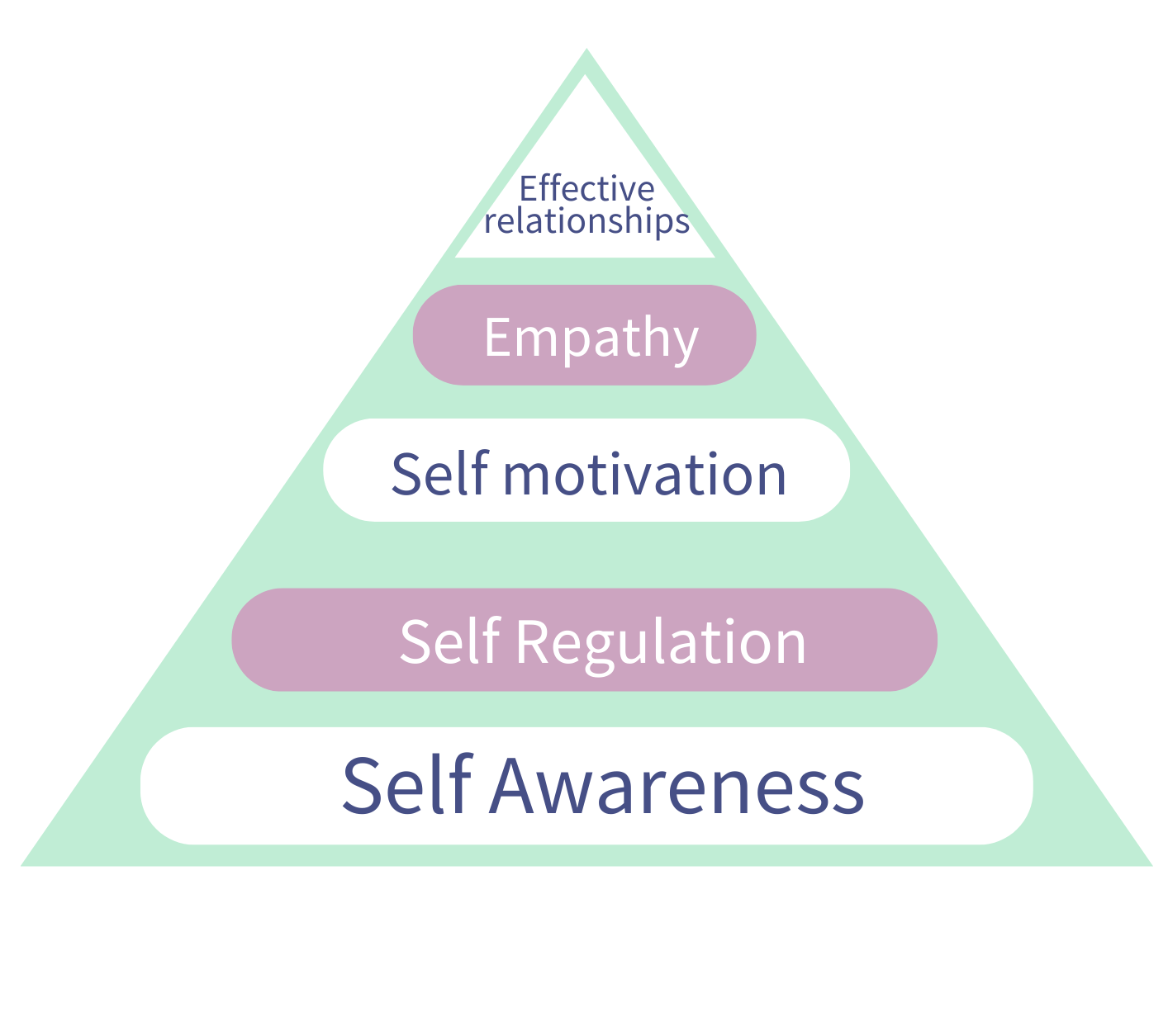 Daniel Goleman's Model